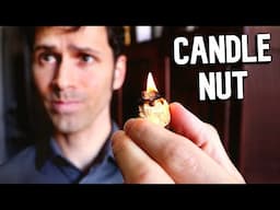 This NUT can be used as a CANDLE and so much MORE - The Incredible Candlenut