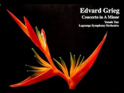 Yannie Tan | Concerto in A minor by Edvard Grieg