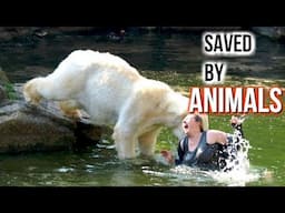 Animals Saving Humans Life! ⭐Heroic Animals⭐️