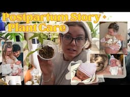 Repot Plants & Chat With Me About My Birth Story + Postpartum Experience