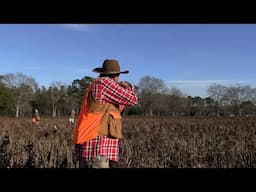 Southwind Pheasant & Quail Hunt