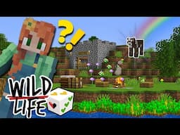 There is Drama Already... Wild Life - Episode 1