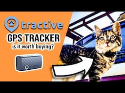 Van life with a cat - Tractive GPS cat tracker