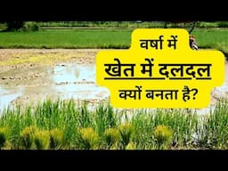 Why is your field waterlogged in the rains? वर्षा में खेत में दलदल क्यों बनता है?