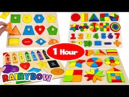 One Hour Compilation of Shapes, Numbers and Color Activity Boards