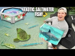 Catching WILD Fish & Sea Creatures For My Mini SALTWATER Aquarium!