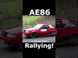 AE86 Rallying! #Toyota #rally #shorts