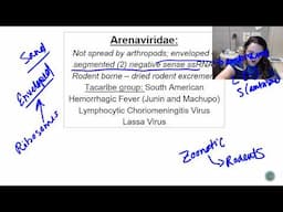 RNA Viruses  Arenaviridae LCMV