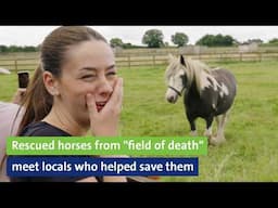 Rescued horses from "field of death" meet locals who helped save them