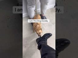 I Am The Dog Daddy. My Song.