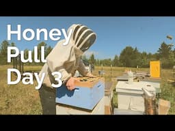 Pulling Heavy Deep Honey Boxes | 2021 Honey Harvest Day 3 Part 1