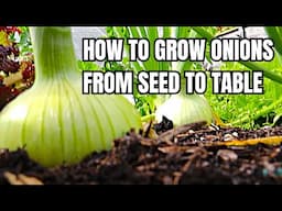 GROWING ONIONS Made Easy | From Seed to Table: How to Grow Onions | Step-by-Step Guide for Gardeners