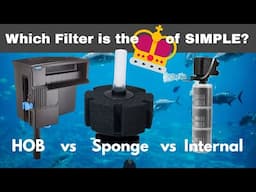 Simple Aquarium Filtration - WHICH IS THE MOST SIMPLE? [and EFFECTIVE!]