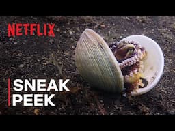 Our Oceans | Clever Octopus Shoots Fish | Sneak Peek | Netflix