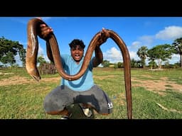 பாம்பு 65 செய்யலாம்|Snake 65 Making at Our Village|Snake Hunting And Cooking Chinese Method|VFS|Supu