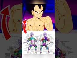 Why Saiyans Don’t Need To Workout To Get JACKED