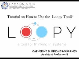 How to Use Loopy Tool