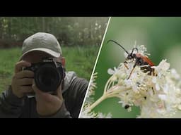 3 Methods for Mastering the Art of Focusing in Macro Photography