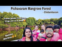 Pichavaram Mangrove Forest - Chidambaram| Boathouse | HosurTamizhan | Pleasant Tour Vlog #pichavaram