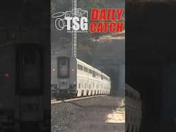 #trains #shorts #youtubeshorts #tsgdailycatch 110724