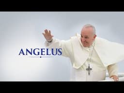 Recitation of the Angelus prayer by Pope Francis | 21 November 2021