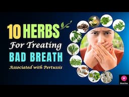 Top 10 Medicinal Herbs for Treating BAD BREATH Associated with Pertussis | #badbreath | Blissed Zone