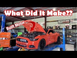 My Built Motor Ecoboost Mustang Made How Much Power?