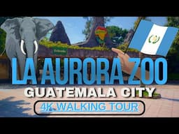 GUATEMALA CITY'S La Aurora Zoo Is WAY PRETTIER Than Most Zoos In The UNITED STATES 🇬🇹🐘🦁🐊🇬🇹