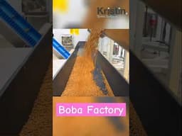 #BTS Tapioca Pearls Factory Tour! VIP access with never before seen footage! #boba #bubbletea