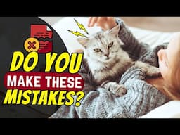 11 Mistakes in Dealing with Young Cats (Shocking!)