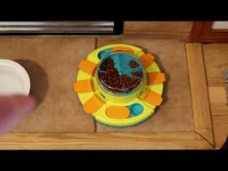 Potaroma Dog IQ Puzzle Toy With 2 Levels Slow Feeder Gadget Review