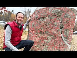 The biggest collection of rune stones in Stockholm