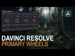 How to Use Primary Wheels in DaVinci Resolve | Color Grading Basics (Ep 1/7)