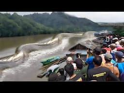 People Surround River Killer snake... Just Watch What Happens Next, It's Incredible!