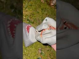 SHARK PUPPETS REVENGE ON EVIL SHARK