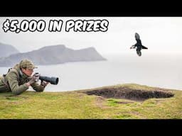 I’m Hosting a $5,000 Public Wildlife Photography Competition