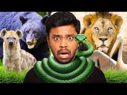 Biriyani Man visits Vandalur Zoo