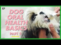 Dog Oral Health Basics Part 2