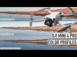 DJI MINI 4 PRO Color Profiles: Comparison D-LOG M, HLG, & NORMAL Profile