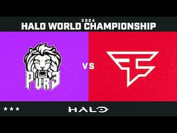 The BEST Series at HaloWC 2024 | Pure vs FaZe