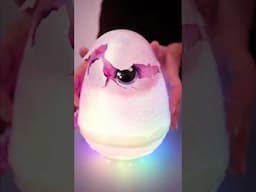 ASMR HATCHIMALS ALIVE: Uovo con Cucciolo di Unicorno a Sorpresa