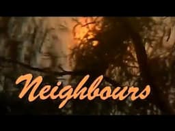 Neighbours - Episode 351