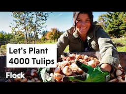 Unbox and Plant a 4000-TULIP GARDEN — Ep. 283