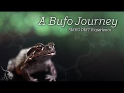 A Bufo Journey : 5MEO DMT Experience