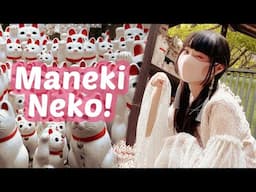 Tokyo's "LUCKY CAT" Temple! | Gotokuji with RinRin!