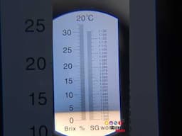 Change the biochemistry of kombucha with tea and sweetener substrates #stem #refractometer #biofilm