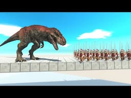 Dinosaurs or Animals - Who is Stronger than Humans?