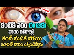 ఈ ఆకు ఇలా చేసుకొని తింటే కంటి చూపు 10 రెట్లు పెరిగుతుంది | Improves Eyesight | ManamTv Ayurvedam