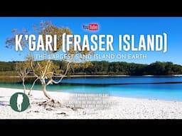 Australia Nature Documentary 4K | K’gari (Fraser Island) | Wildlife and Natural History