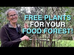 A Food Forest for FREE !!? | How I Obtained Plants for my Permaculture Food Forests